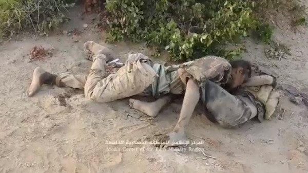 مصرع 28 قياديا و244 مسلحا حوثيا شرق صنعاء