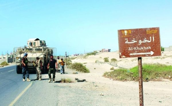 سقوط عشرات القتلى والجرحى من مليشيات الحوثي خلال تصدي قوات العمالقة والمقاومة لتسلل شرق الخوخة