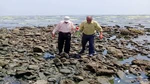 أبحاث علوم البحار: ظهور الطحالب الخضراء في ساحل أبين ظاهرة طبيعية